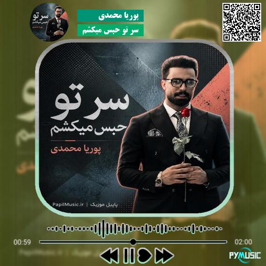 دانلود آهنگ سر تو حبس میکشم پوریا محمدی